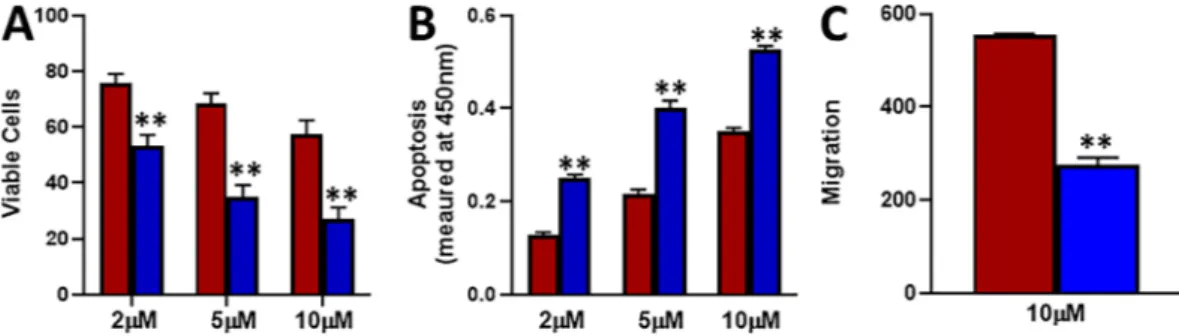 Figure 5.  Effect of E-cadherin overexpression. E-cadherin was over expressed, by transfection of plasmid  carrying the construct, in MCF-7-TAM cells