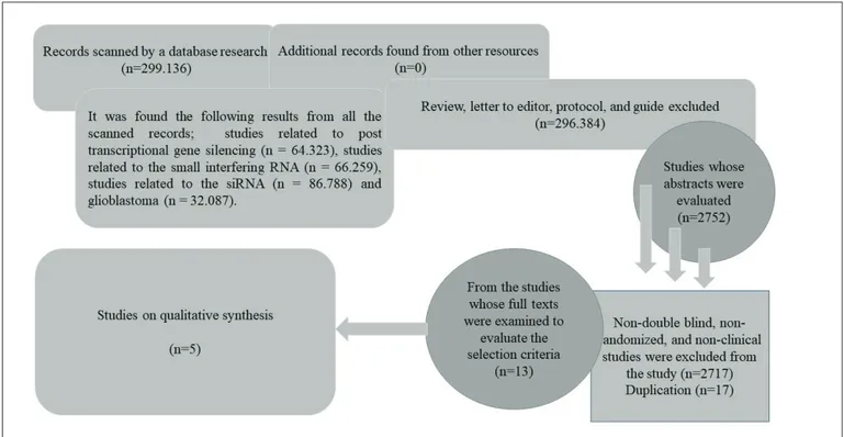 Figure 1: Flow chart of literature identification.