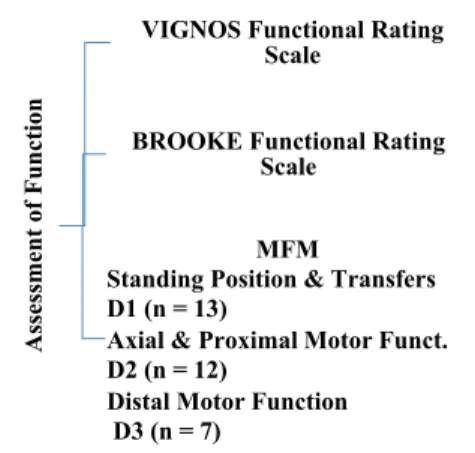 Figure 1. The motor function assessment tests applied to the  participants.       