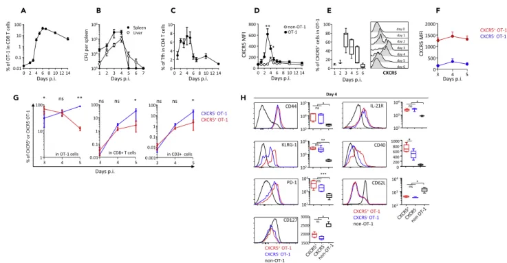 Figure 1. A population of CD8 Primary Effectors Expressing the Chemokine Receptor CXCR5 Is Generated Shortly after rLm-OVA Infection Naive wild-type mice received 10 4 CD45.1 + OT-1 cells and were infected 2 days later with 2 3 10 4 colony-forming unit of 