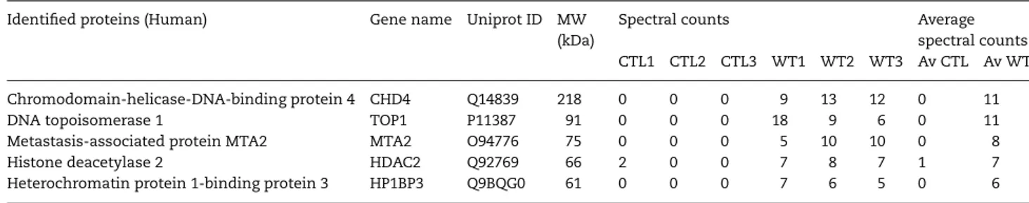 Table 3. PRDM5 interactors identiﬁed by protein pull-down and mass spectrometry Identiﬁed proteins (Human) Gene name Uniprot ID MW