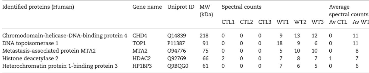 Table 3. PRDM5 interactors identiﬁed by protein pull-down and mass spectrometry Identiﬁed proteins (Human) Gene name Uniprot ID MW