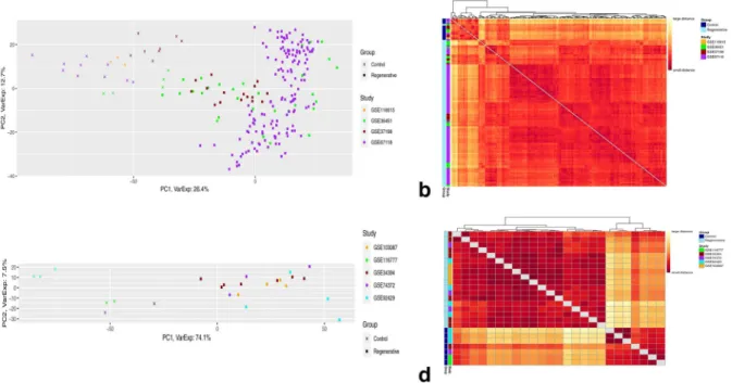 Figure 3.  Clustering of the DE genes. DEA-based principal component analysis and sample-to-sample  clustering heatmaps for regenerative vs