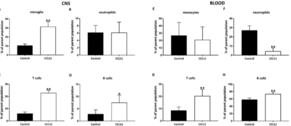 Figure 6. CCL11 modifies subacute central and systemic immune responses in post-stroke adolescent mice