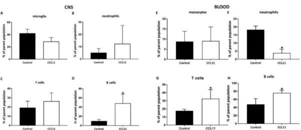 Figure 7. CCL11 modifies the subacute central and systemic immune response in post-stroke adult mice