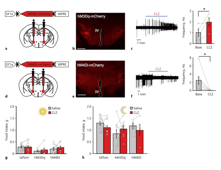 Fig. 1.  MCH neuron activity is neither necessary nor sufficient   for chow food appetite
