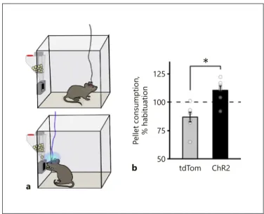 Fig. 4). Taken together, these results suggest that MCH  neuron activation alone may not be involved in food  seeking or elevation of the hunger state but, when paired  with consummatory activity, they may have role in  rein-forcing feeding.