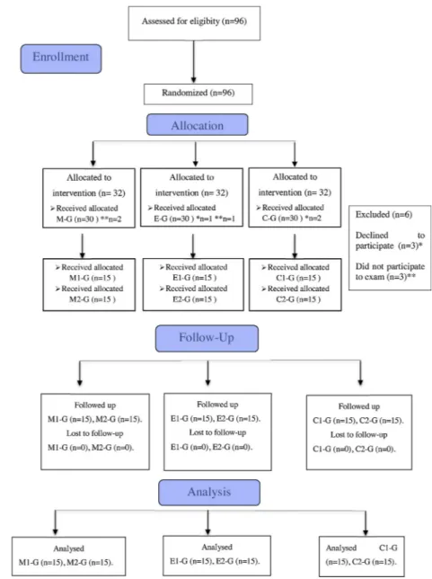 Fig. 1. Study Flow Chart.