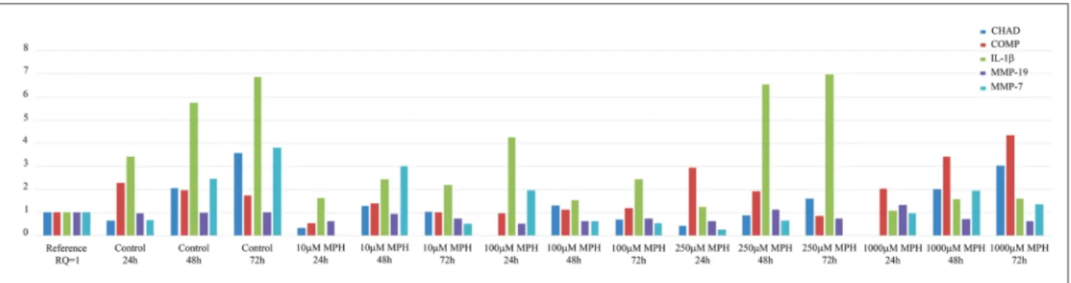 Figure 3: Comparative  RT-PCR  results  using  a  reference  (calibrator)  sample  (Control,  0  h)