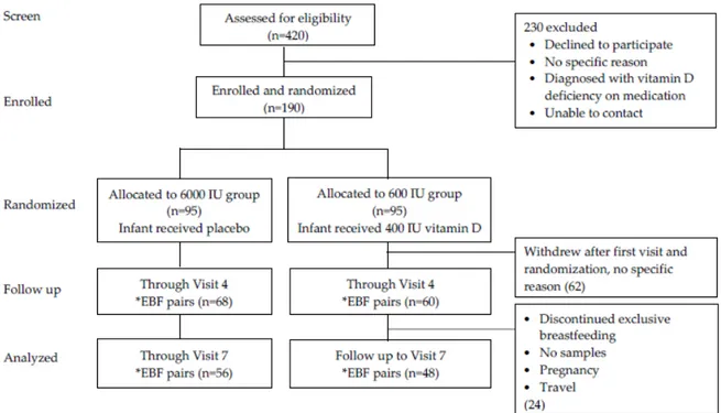 Figure 1. Flow chart of the participants throughout the study. EBF – Exclusive Breastfeeding