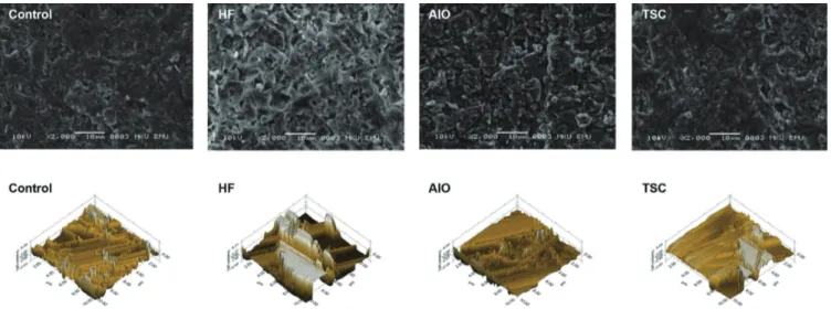 Fig. 3.  SEM and surface topography images of PICN material.