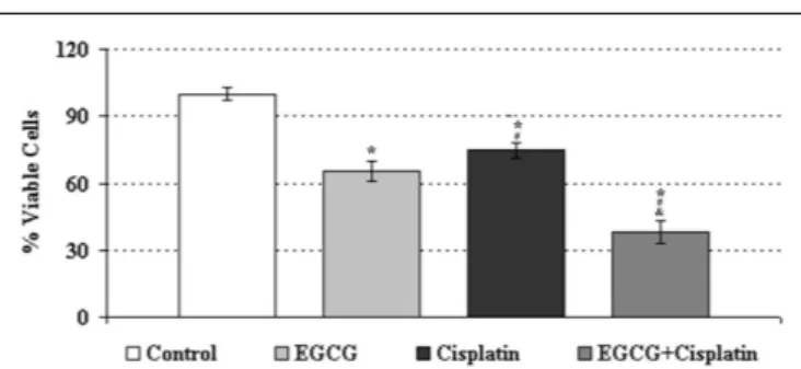 FIGURE 1 | Growth inhibition of human cervical cancer cell lines treated with EGCG (25 µM), cisplatin (250 nM), and the combination treatments