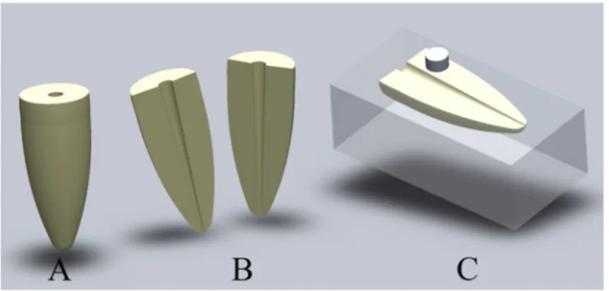 Figure 1. Schematic diagram of experiment protocol.