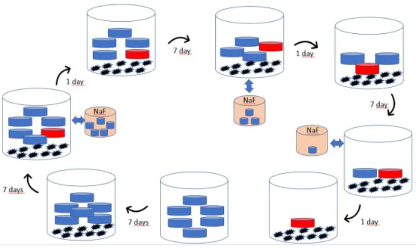 Figure 1. Methodology of the study 