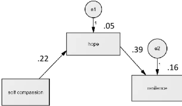 Figure 1. Standardized Estimates for the Path Model of Resilience 