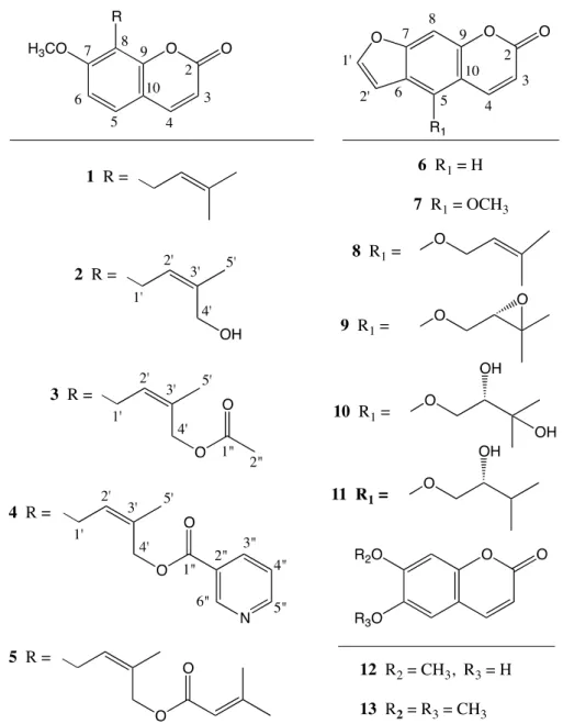 Figure 1. Structures of the coumarin derivatives isolated from the roots of Neocryptodiscus papillaris
