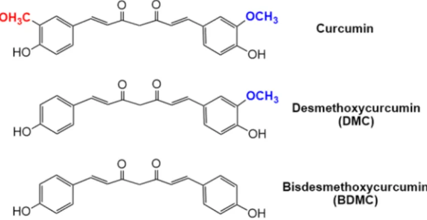 Figure 1. Structure of the three main curcuminoids. 