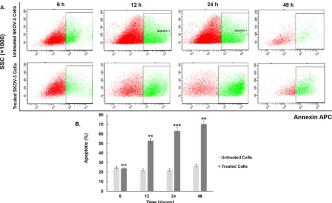 Figure 5. (A) Effects of various concentrations (5–100 µM) of curcuminoids on the viability of human SKOV-3 cells treated for 24 h and 48 h, as measured by WST-1 assay
