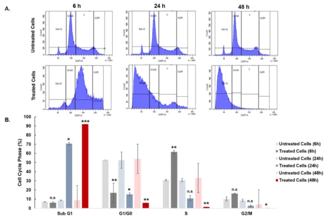 Figure 7. The cell cycle distribution of untreated and curcuminoid-treated (30 µM) SKOV-3 cells for  the analysis of time-dependent effects