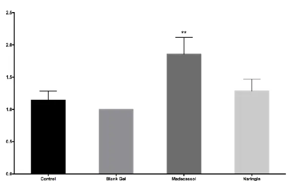 Figure 8. Microscopic assessment of granulation tissue thickness among groups by histological scores