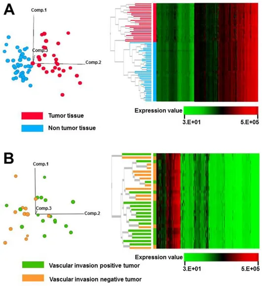 Fig. 2. Clustering of samples based on proteomic data obtained by SOMAscan. (A) Principal component analysis, showing that 28 tumor and 43 non-tumor tissue samples can be differentiated using the obtained proteomic data (left panel)