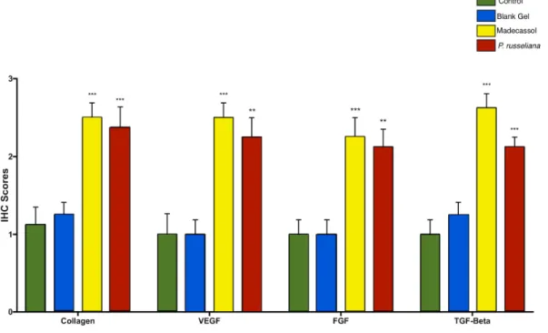 Figure 8. Comparison of immunohistochemistry; collagen, TGF-Beta, VEGf, FGF wound healing  scores among the test groups