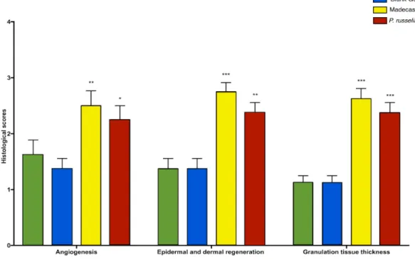 Figure 7. Histological granulation scores; tissue thickness, angiogenesis, and epidermal–dermal  regeneration of control, blank gel, Madecassol, P