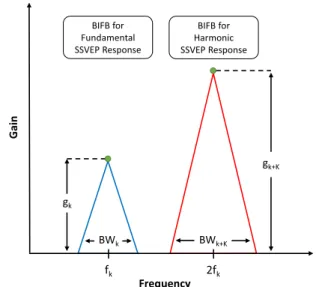 FIGURE 5. A bio-inspired filter design to capture SSVEP response at ˜ f k .