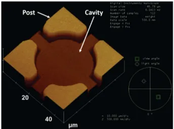 Fig. 5. AFM image of the bottom metal defined in a glass cavity.