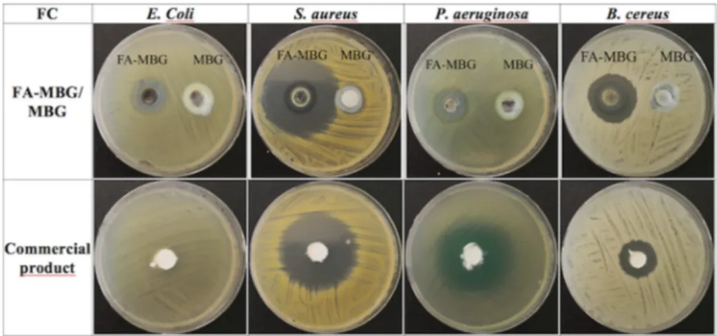 Fig. 2. In vitro drug release results of FA-MBG (n:3, ±STD).