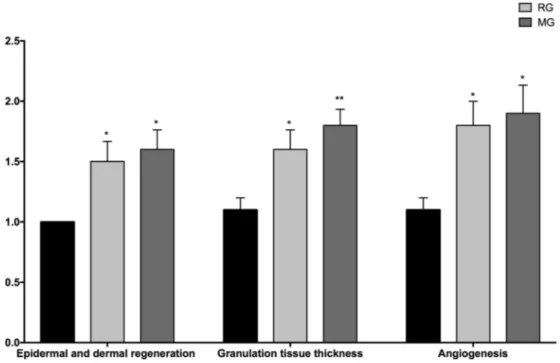 Fig. 9. Microscopic investigation of granulation tissue thickness, angiogenesis and epidermal-dermal regeneration on control (CG), FA (2%) loaded MBG gel (MG), and Fucidin Ò (RG) groups by histological wound healing scores among