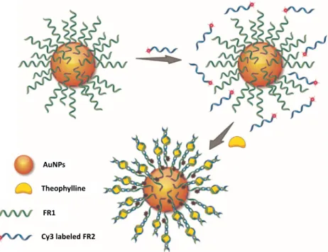 Table 5 Some of the AuNPs and aptamer-based energy transfer methods reported so far in the literature