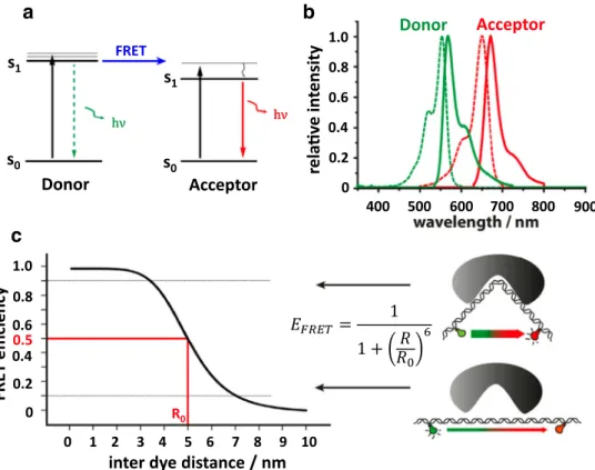Fig. 1 Fundamental FRET principles: ( a) A simplified energy level scheme represents the excitation of the donor from a ground state to an excited state