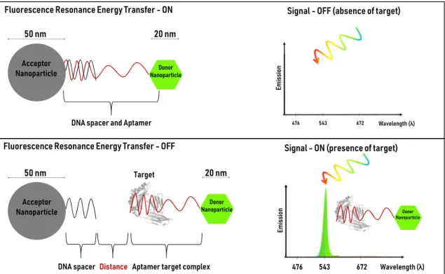 Fig. 2 Schematic representation of a Fluorescence Resonance Energy Transfer based aptamer nanoprobe in the absence and presence of a given target molecule