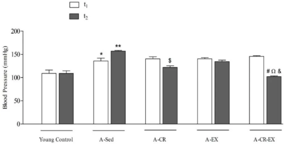 Figure 1. Blood pressure changes of the intervention groups. Young Control: 3 month-aged young animals; 