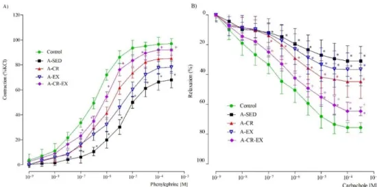 Figure  5.  Concentration-response  curves  obtained  by  cumulative  addition  of  phenylephrine  (PE)  and  carbachol (CAR) to rat aortic rings