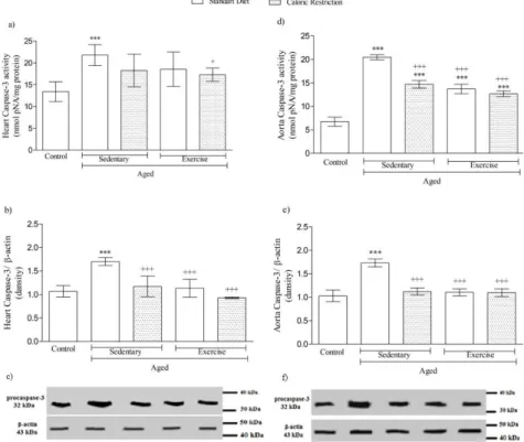 Figure  9.  Changes  in  apoptotic  parameters  in  heart  and  aorta  tissues  of  aged  animals,  respectively,  a: 