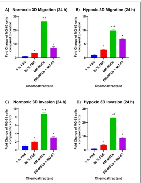 Figure 1. A) Fold change graphs of MG-63 cells that migrate  and invade to chemoattractants 1% FBS, 20% FBS, BM-MSCs  and co-culture between the stem cells and MG-63 under  normoxic (A, C) and hypoxic (B, D) conditions compared to  1% FBS at the 24 th  hou