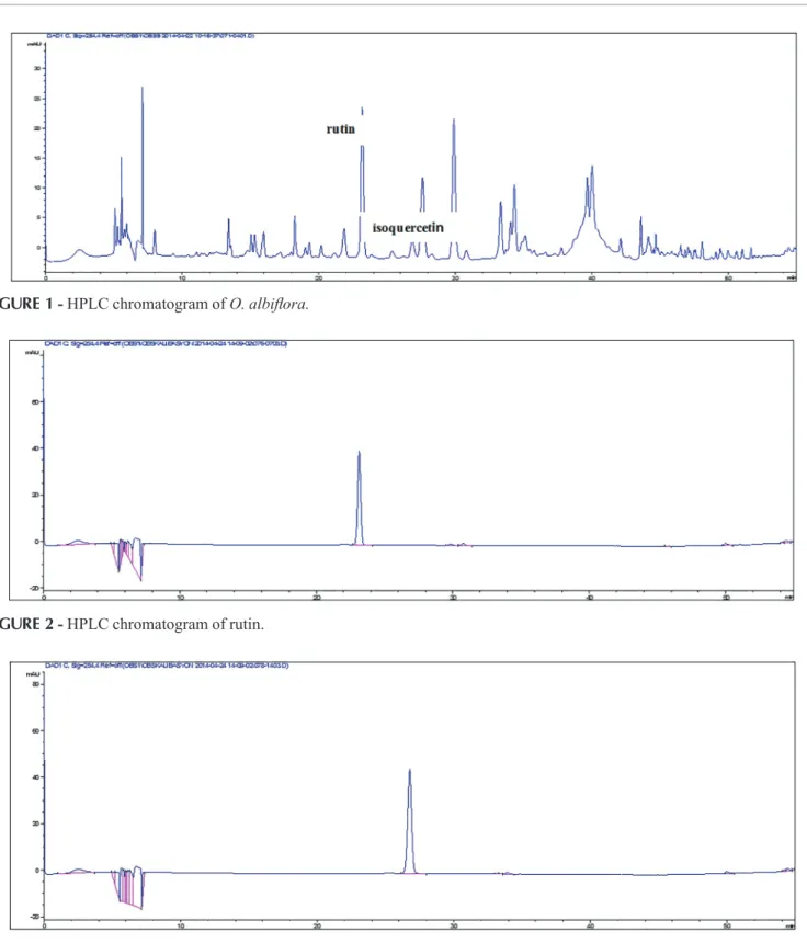 FIGURE 1  - HPLC chromatogram of O. albiflora.