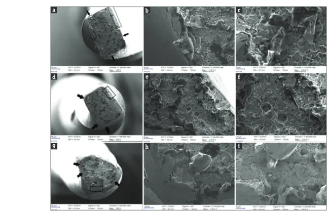 Figure 2: Scanning	electron	microscope	images	of	the	broken	instruments	after	the	cyclic	fatigue	test	(a,	b,	c	=	WaveOne	Gold,	d,	e,	f =	Protaper	Next,	 and	g,	h,	i	= 2Shape).	The	typical	cyclic	fatigue	(ductile)	fracture	surface	pattern	with	dimples	and	c