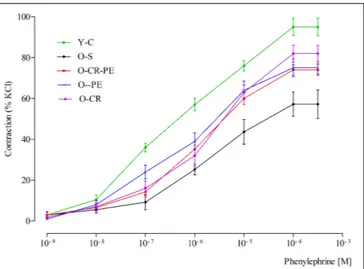 FIGURE 4 | NOS bands determined by Western blotting.