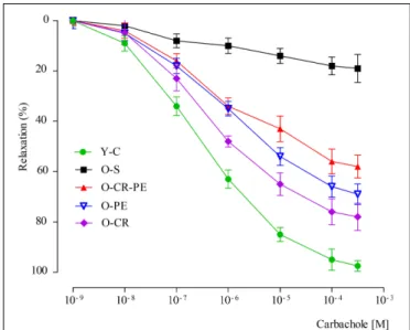 FIGURE 7 | Relaxation responses to carbachol.
