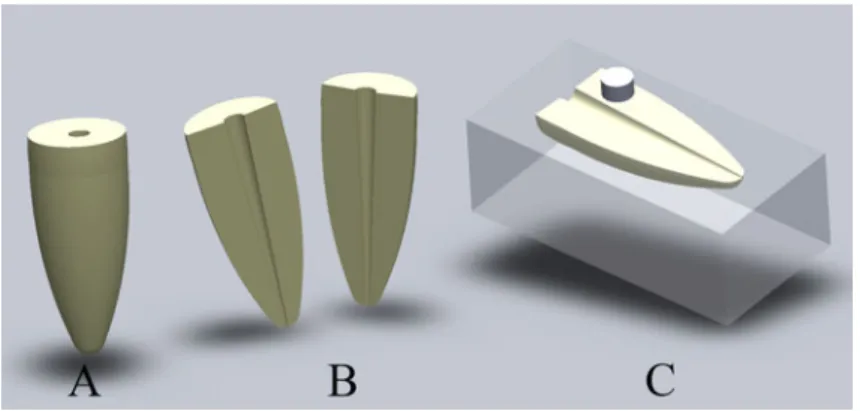 Figure 1. Schematic diagram of experiment protocol.