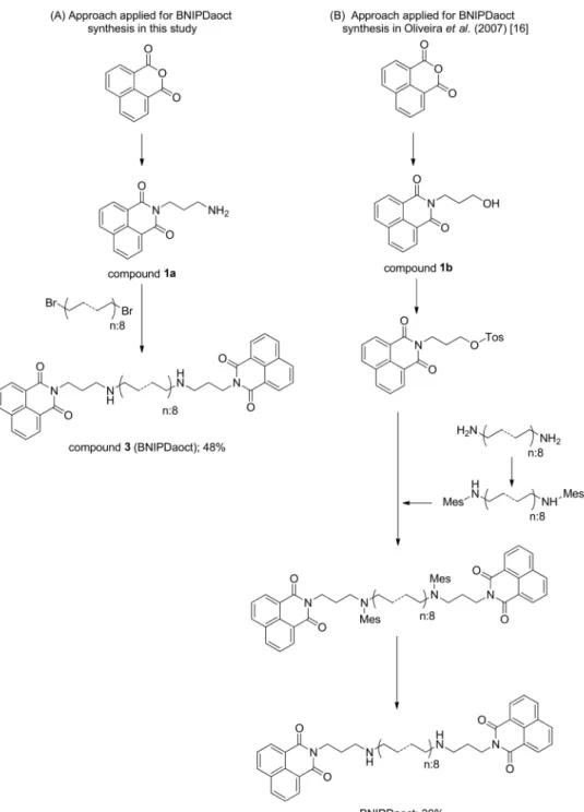 Figure 3. Schematic illustrations of approaches applied for BNIPDaoct synthesis (A) in this study and (B) in Oliveira et al
