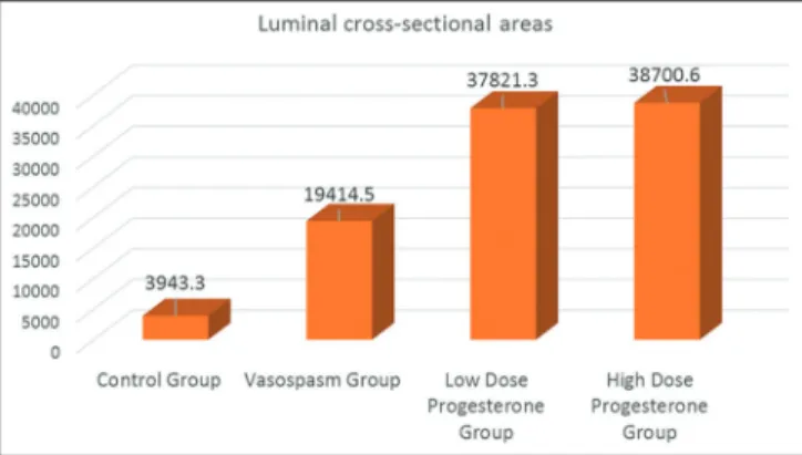Figure 5: Mean luminal cross-sectional areas of the groups