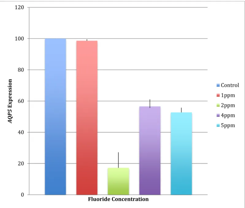 Fig 6. AQP5 expression in mammary gland/breast adenocarcinoma cell line HTB-22™ after exposure to higher concentrations of fluoride decreases.