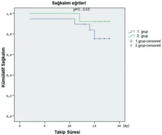 Şekil 1. Gruplardaki hastaların sağ kalım eğrileri