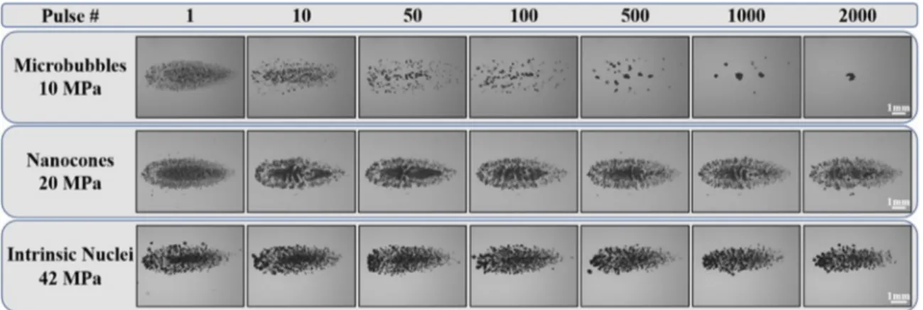 Fig. 9. Multipulse cloud sustainability: 100 Hz pulse repetition frequency. Optical images of bubble clouds produced at a single focal point in tissue phantoms at a pulse repetition frequency of 100 Hz for 2000 applied histotripsy pulses.