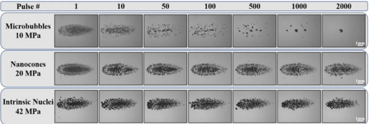 Fig. 9. Multipulse cloud sustainability: 100 Hz pulse repetition frequency. Optical images of bubble clouds produced at a single focal point in tissue phantoms at a pulse repetition frequency of 100 Hz for 2000 applied histotripsy pulses.