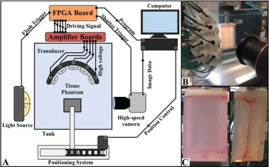 Fig. 1. Histotripsy experimental schematic. High-speed optical imaging was used to capture cavitation behavior and red blood cell (RBC) ablation inside agarose tissue phantoms exposed to histotripsy pulses applied with a 500-kHz 